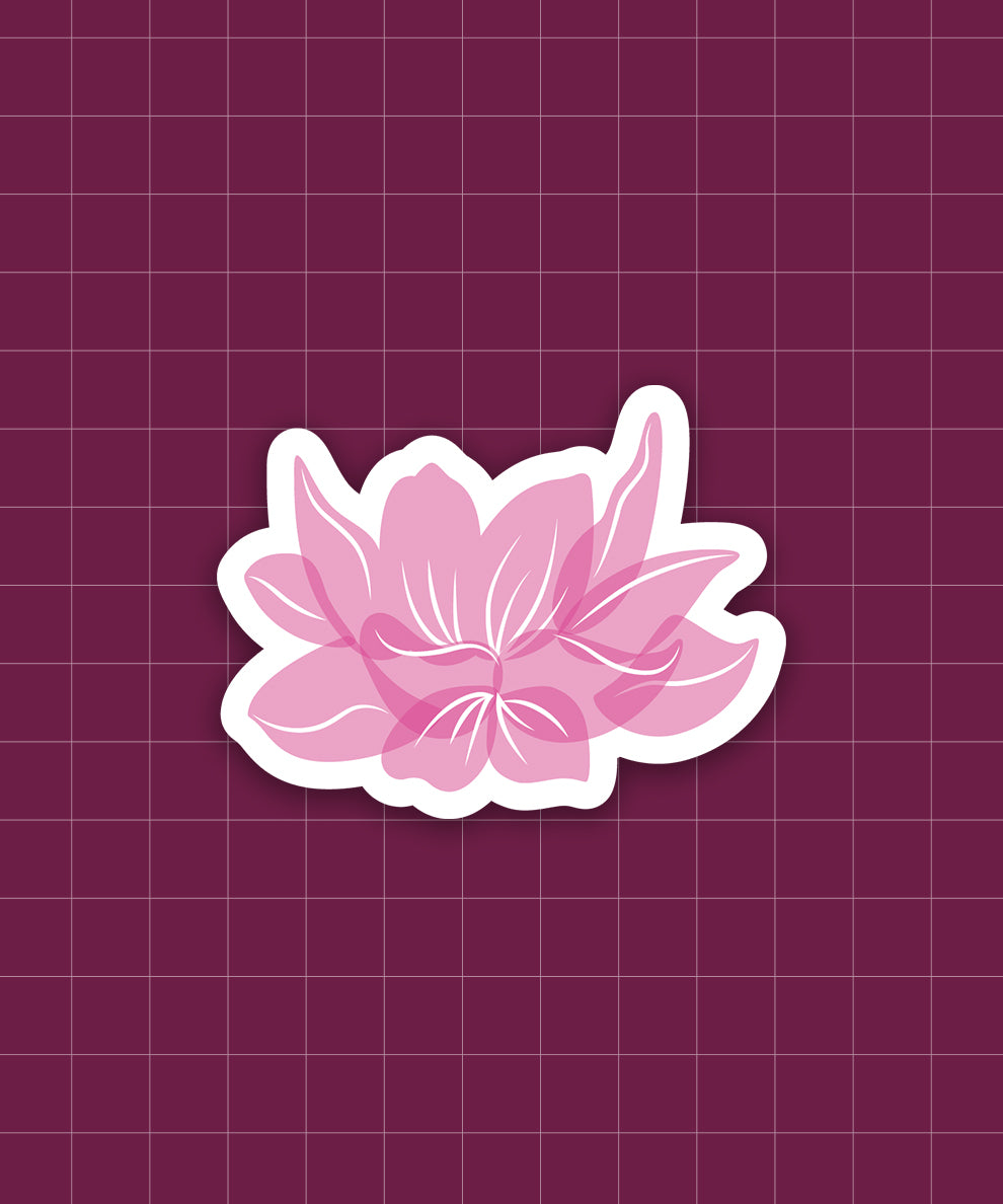 Lotus