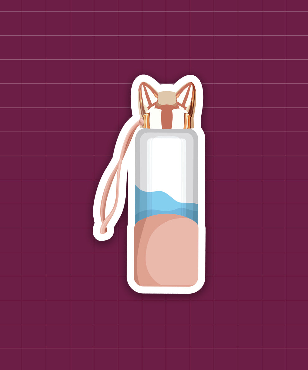 Stay Hydrated