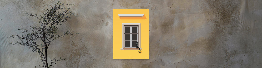 The Window